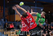 Handball TSF Ditzingen vs. TSV Allowa