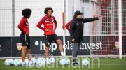 Fußball VfB Stuttgart Training