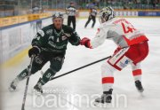 Eishockey SC Bietigheim Steelers vs. EC Bad Nauheim