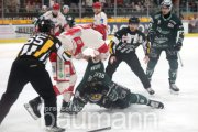Eishockey SC Bietigheim Steelers vs. EV Landshut