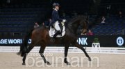 Reiten Stuttgart 38. German Masters