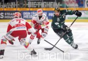Eishockey SC Bietigheim Steelers vs. Eispiraten Crimmitschau