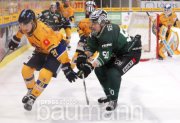 Eishockey SC Bietigheim Steelers vs. Lausitzer Füchse